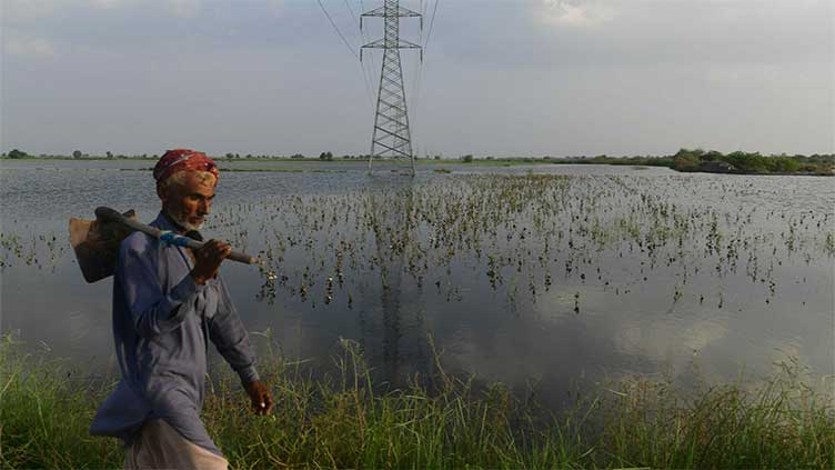 How Climate Change Is Shaping the News in 2024