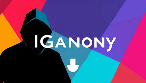 Privacy Settings: Maximizing Your Anonymity with IgAnony